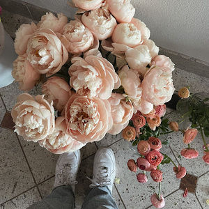 Meet your Posher, Gia555